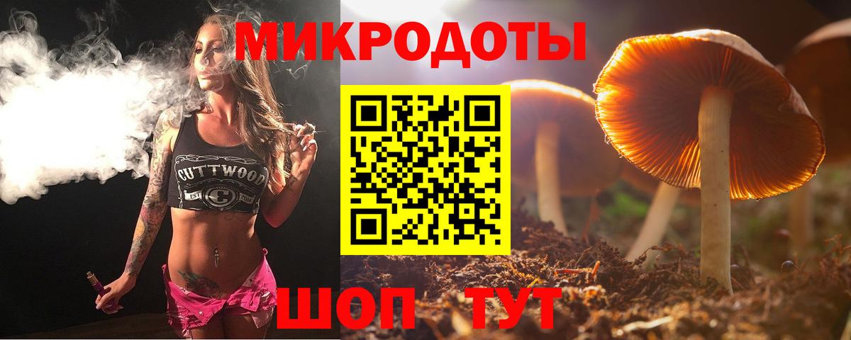 Тихвин  Галлюциногенные грибы Psilocybe  Псилоцибиновые грибы Psilocybine cubensis  Вход с VPN 